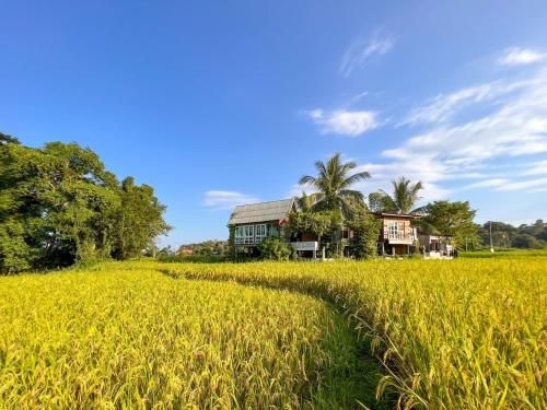 ต้ง โฮมสเตย์ (Tung Homestay)1