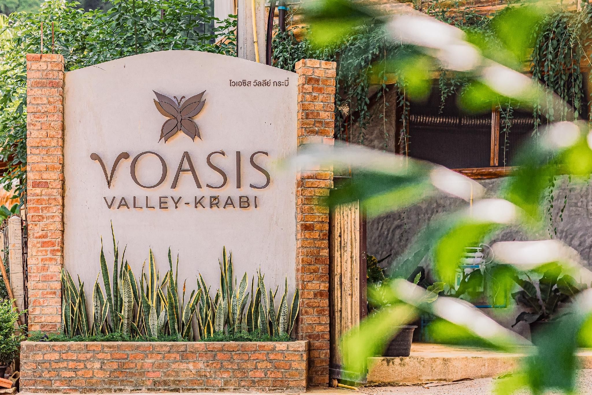 โวเอซิส วัลเลย์ กระบี่ (Voasis Valley Krabi)3