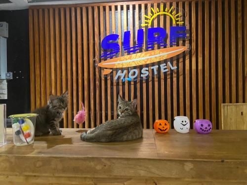 เซิร์ฟ โฮสเทล กระบี่ (Surf Hostel Krabi)4