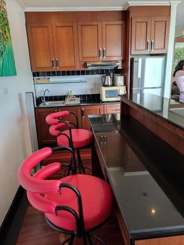 One-Bedroom Ocean View Apartment