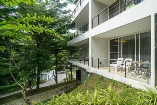 Bright apartment with forest views at Zen Space Bright apartment with forest views at Zen Space