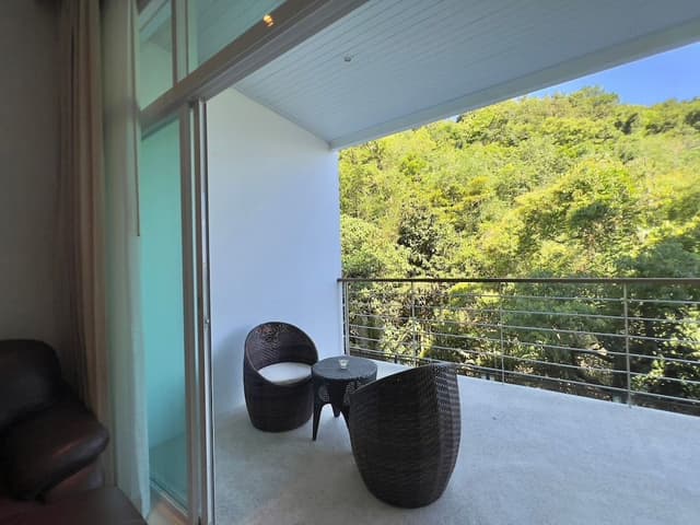 Standard Apartment, 1 Bedroom, Terrace, Mountain View
