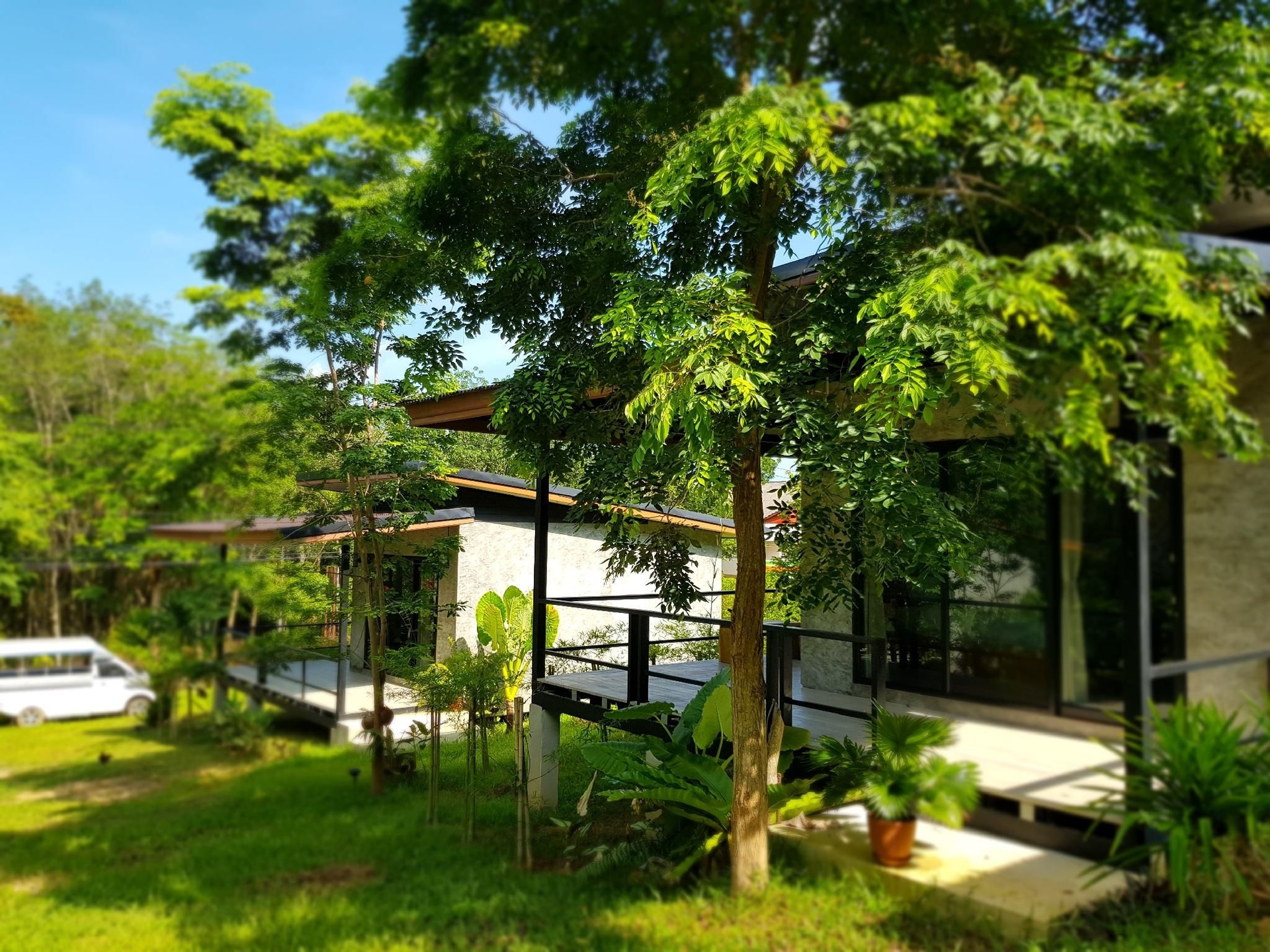 แอนนี่ มีนส์ เพลซ (Annie Meen's Place)1