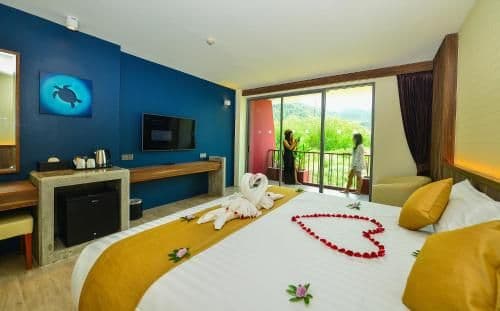 Deluxe Double or Twin Room