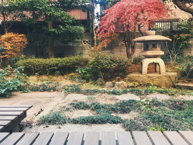 Family Apartment