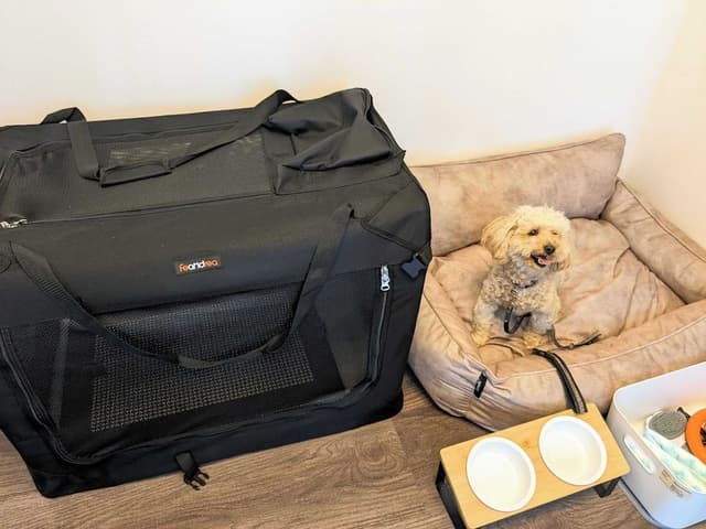 Comfort Apartment, Non Smoking (Pet Friendly, with Rental Car)