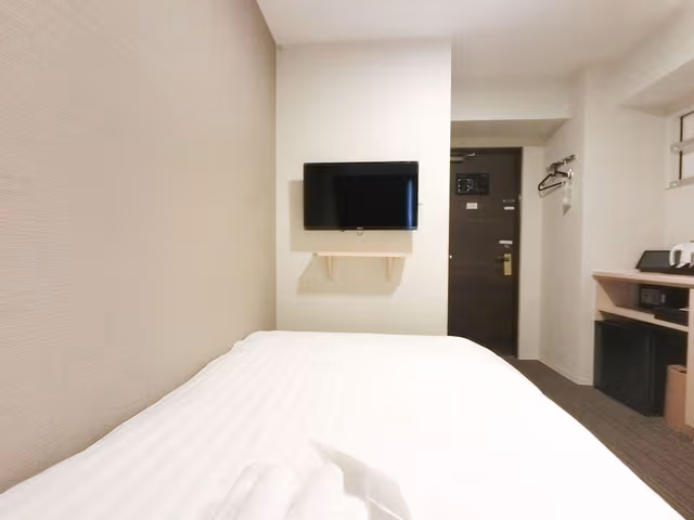 Economy Double Room, Non Smoking, 1 Large Twin Bed (Semi-double)