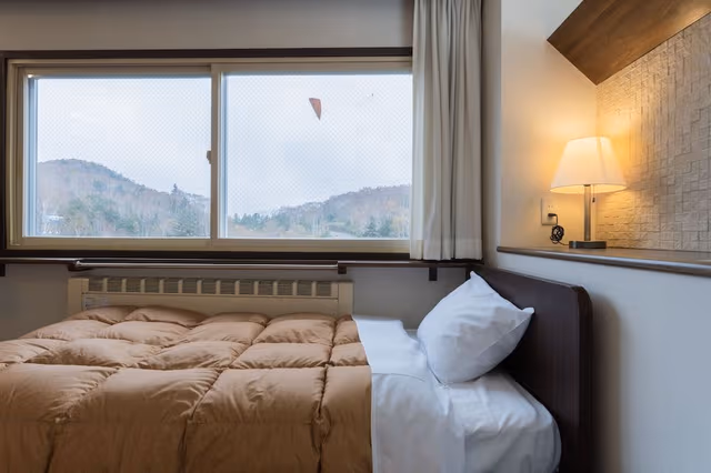 Basic Twin Room, 2 Twin Beds
