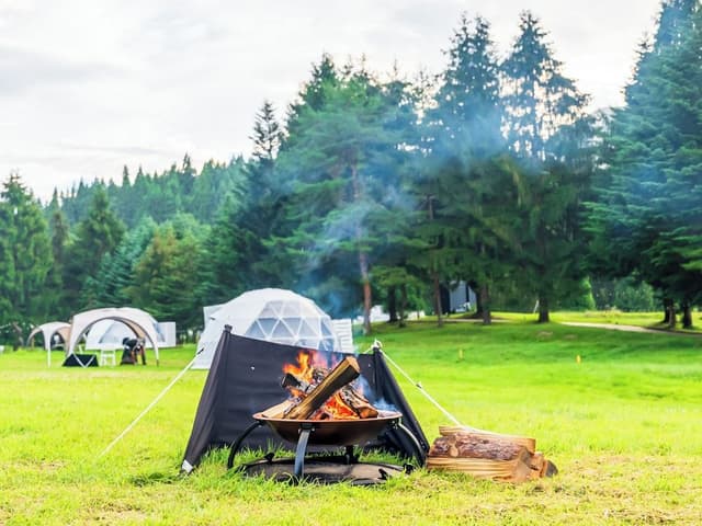 Single Dome, 2 Beds Check-in: 2:00 PM / Check-out: 10:00 AM.
