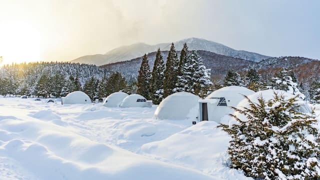 Single Dome, 4 Beds Check-in: 2:00 PM / Check-out: 10:00 AM.