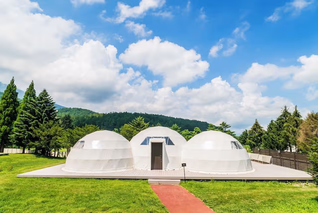 EXECUTIVE SUITE Triple Dome