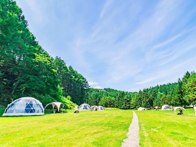 Single Dome, 2 Beds Check-in: 2:00 PM / Check-out: 10:00 AM.