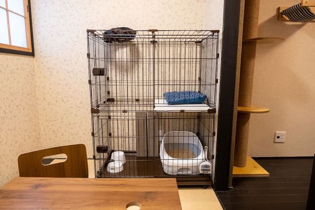 2-A Cat and Dog Friendly Room, Non Smoking