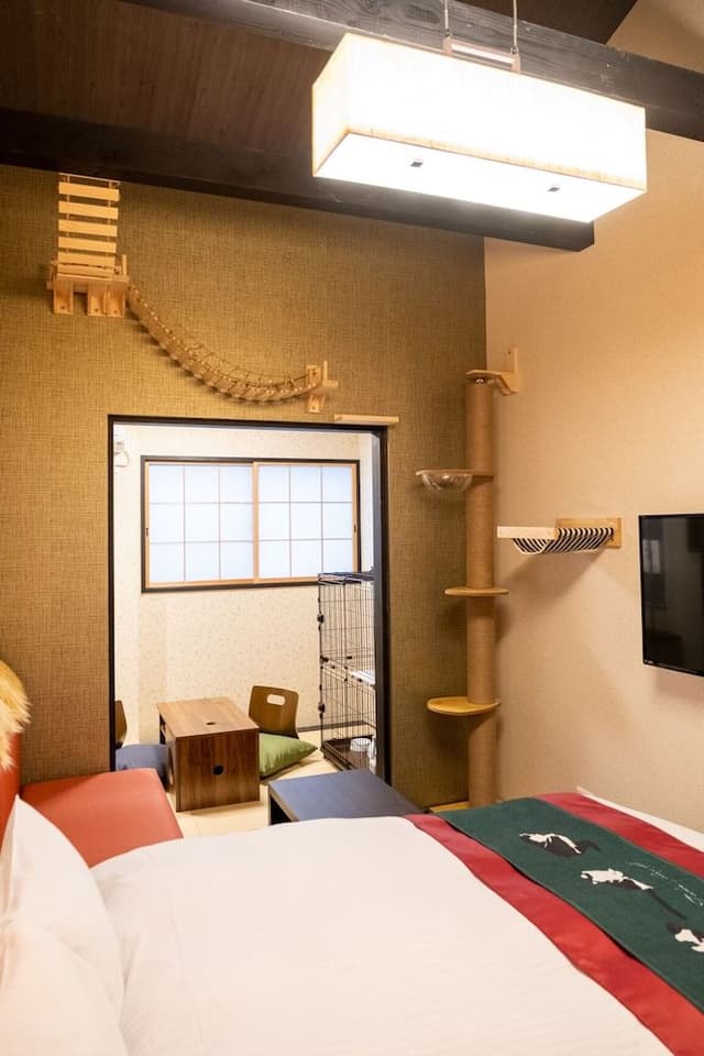 2-A Cat and Dog Friendly Room, Non Smoking