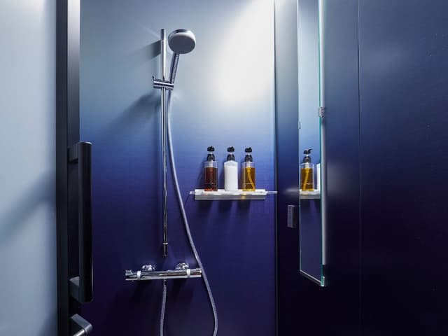 Deluxe King Room, Non Smoking (20 square meters)