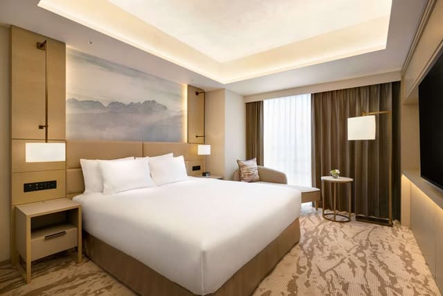 KING DELUXE SUITE