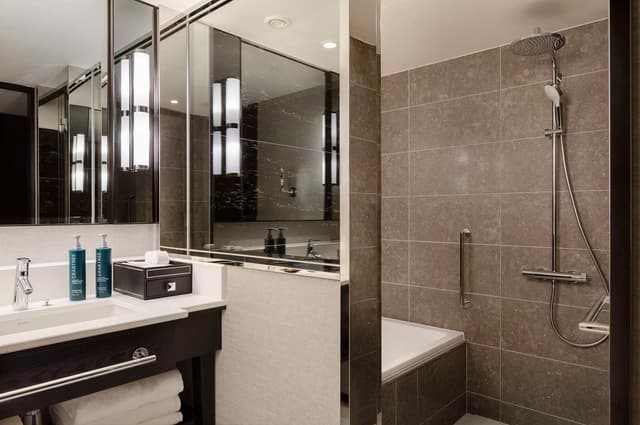 TWIN PREMIUM EXECUTIVE ROOM