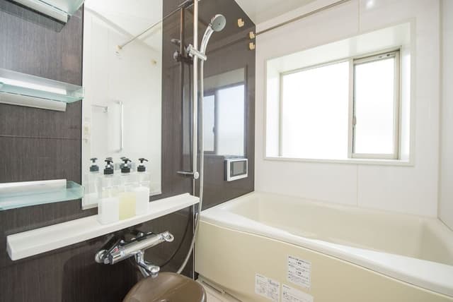 Luxury Apartment