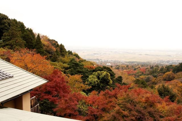 Executive Japanese Room, Open Air Bath (12.5 tatami mats)