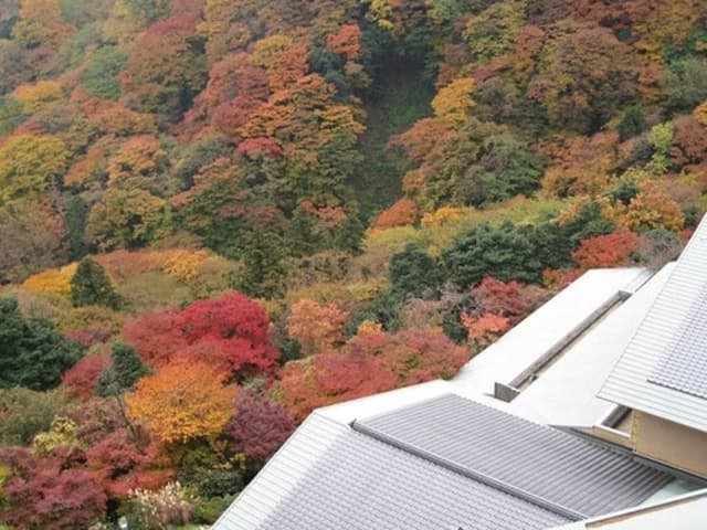 Executive Japanese Room (12.5 tatami mats+4 tatami mats out door bath)