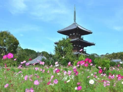 APA Hotel Kintetsu Nara Ekimae APA Hotel Kintetsu Nara Ekimae