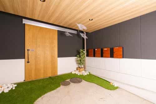 ฟรี แอนด์ อีซี่ โอซุ 501 (โซระ)
