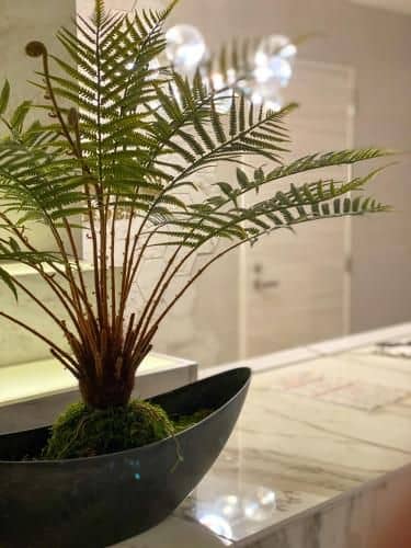 Hotel Venus Garden - Adult Only Hotel Venus Garden - Adult Only
