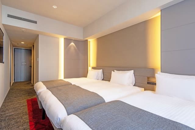 Superior Triple (Twin + Extra bed)