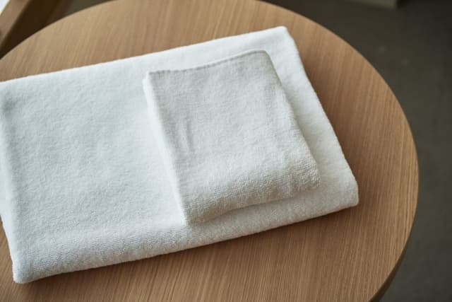 Superior Twin Room, Non Smoking (No TV/Bathtub)