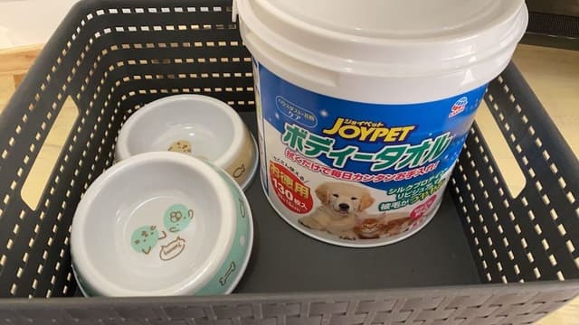 Dog Room 8