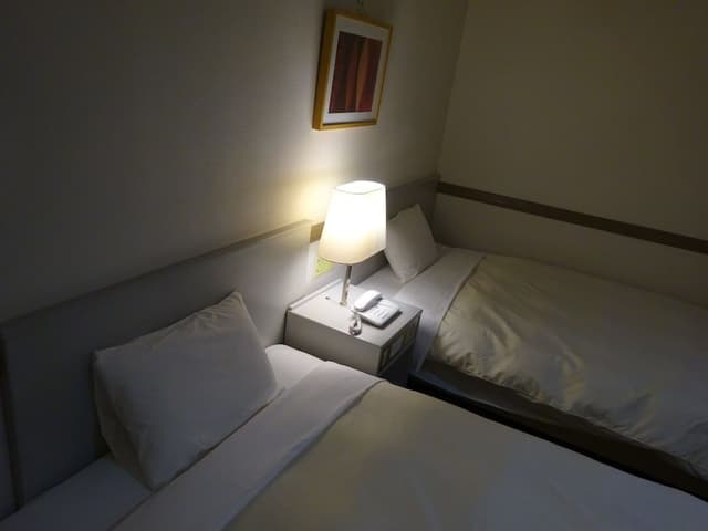 Twin Room, Non Smoking (Single Use)