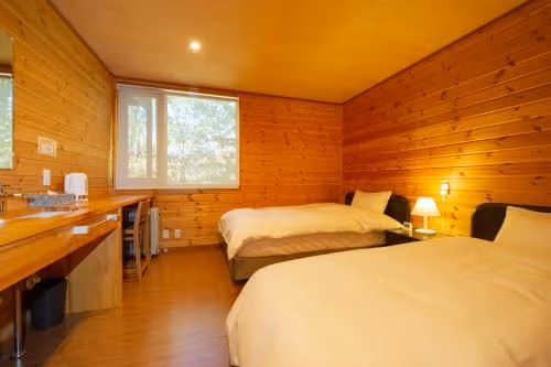 Superior Twin Room without Bathtub