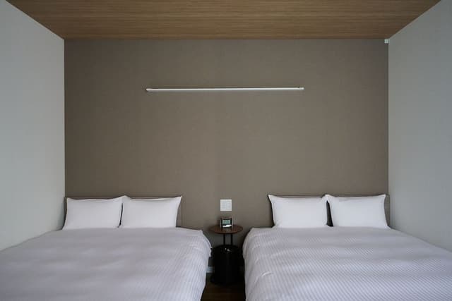 Deluxe Twin Room, Non Smoking (check-in is not available after 11PM)