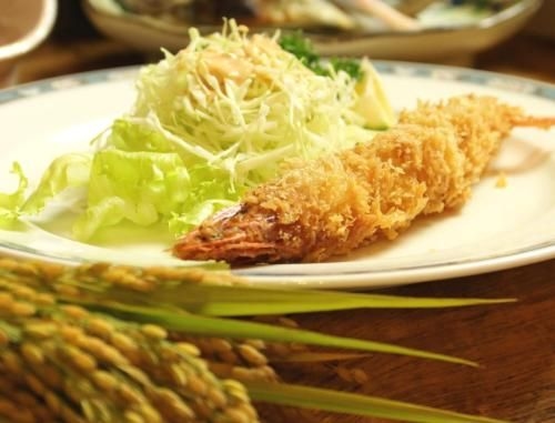 ซันไรซ์ ทันเนะ (Sunrise Tanne)4