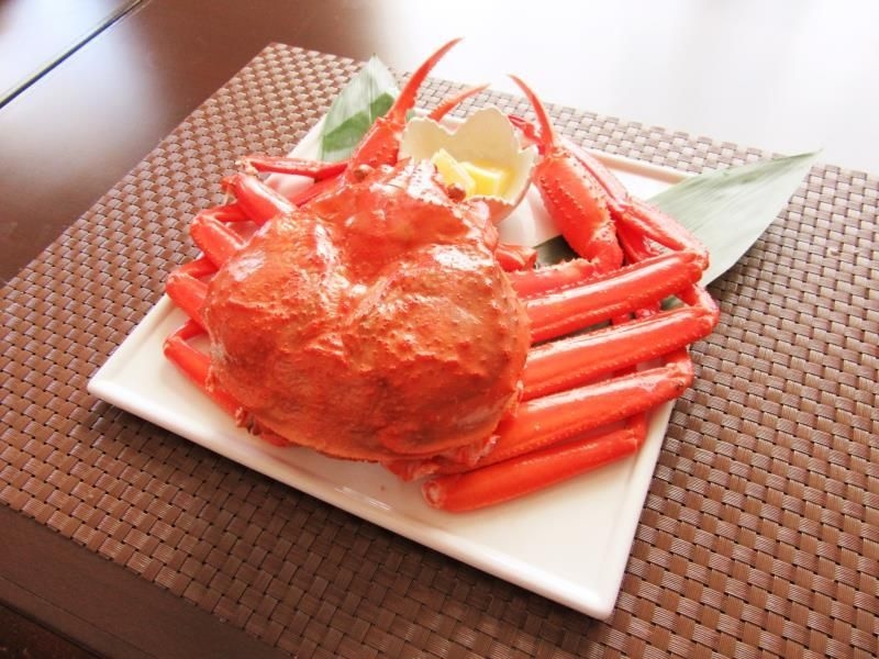 โรงแรมชุงกะ ตอตโตริ ไดเซง รีสอร์ต (Hotel Shunka Tottori Daisen Resort)2