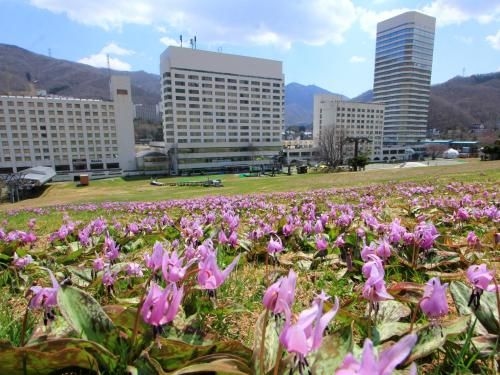 นาเอบะ ปริ้นส์ โฮเต็ล (Naeba Prince Hotel)0