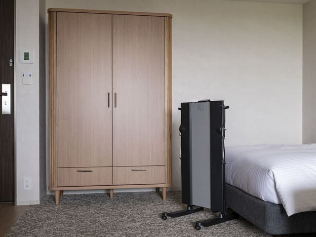 Deluxe , 2 beds (+ extra) , accessible, Non Smoking