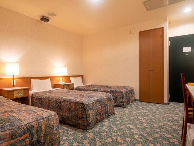 Triple Room - 3 Single Beds