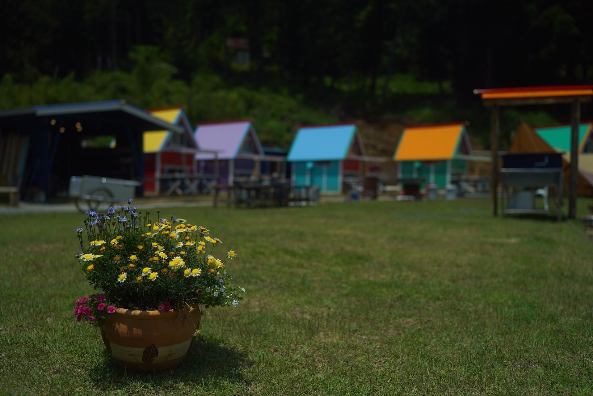 พาวเวอร์สปอตแคมป์กราวด์แอคคอมโมเดชั่นลอดจ์ (Power Spot Camp Site - Accommodation Lodge)1