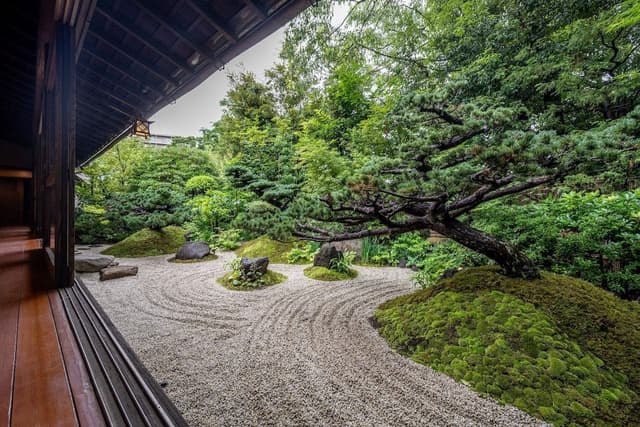 Suite "Matsukaze", Non-smoking
