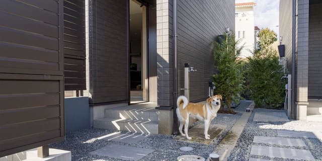 Basic House, Non Smoking, Dog Friendly (104)