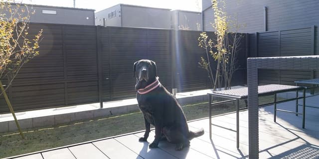 Basic House, Non Smoking, Dog Friendly (104)