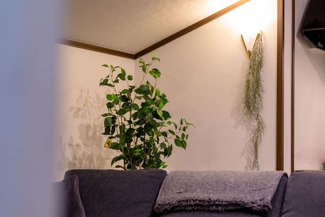House, Non Smoking