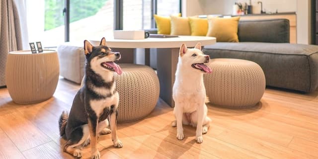 Rakuten STAY VILLA FujiKawaguchiko Forest/ Up to 8 people, Pets Allowed, Non Smoking