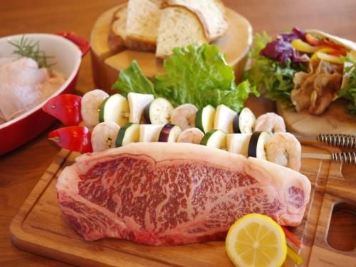 PICA Fujiyama1