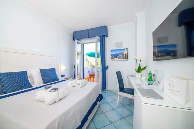 Superior Double or Twin Room