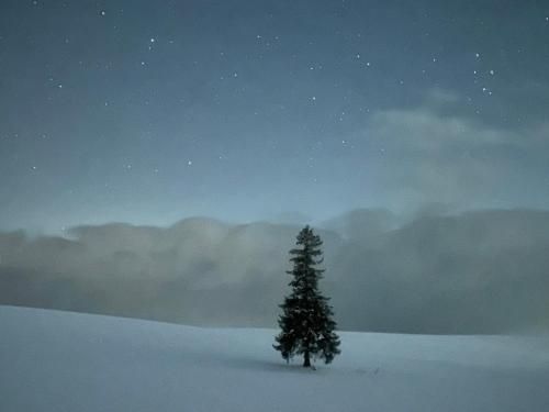 อดาจิโอ ฮอกไกโด (Adagio Hokkaido)4