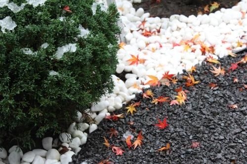 อิชิเต ฟูราโนะ (Ishitei furano)4