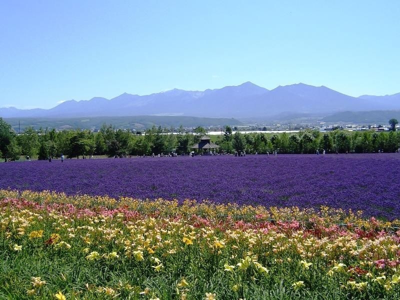Furano Prince Hotel / Snow Resorts0