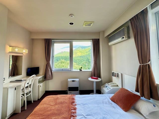 Basic Double Room